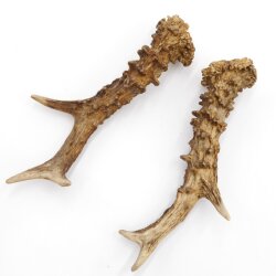 Reehoorns Reehoorns Paar 2 stuks Lengte 19 cm 14.2.477