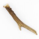 Reehoorn Lengte 16 cm Reehoorn Reehoorn Reehoorn 14.1.285