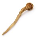 Corna di capriolo Lunghezza 17 cm Corna di capriolo Corna...