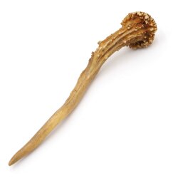 Deer antler length 17 cm Deer antler pole Deer antler pole Antlers 14.1.286