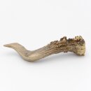 Reehoorn lengte 12 cm Reehoorn Reehoorn Reehoorn 14.1.287