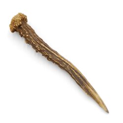 Deer antler length 17 cm Deer antler pole Deer antler pole Deer antlers Antlers 14.1.292