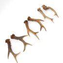 Reehoorns 3 paar hoorns L 17-22 cm voor hobbyisten Hoorns Reehoorns Gewei Hoorn 14.3.142