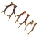Reehoorns 3 paar hoorns L 17-22 cm voor hobbyisten Hoorns Reehoorns Gewei Hoorn 14.3.142