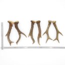 Deer antlers 3 pairs of antlers L 18-19 cm Horns Deer...