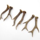 Rehstangen 3 Paar Stangen L 18-19 cm Gehörne Rehgeweihe Geweih Stange 14.3.147