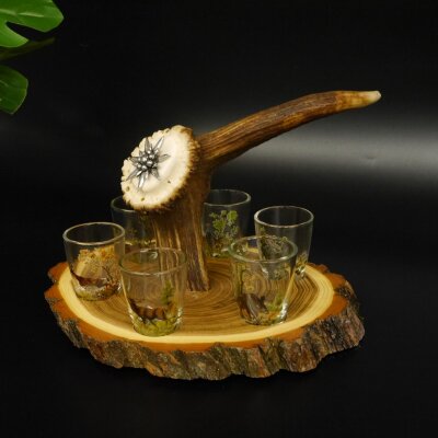 Fornitore di grappa su tavola da grappa Akazieschild H17 cm Cervo rosso Manico con 6 bicchieri colorati Motivo caccia Motivo animale 27.7.3.7