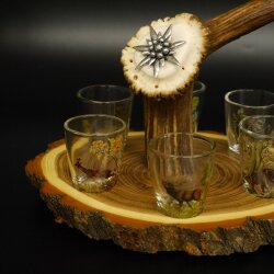 Fornitore di grappa su tavola da grappa Akazieschild H17 cm Cervo rosso Manico con 6 bicchieri colorati Motivo caccia Motivo animale 27.7.3.7