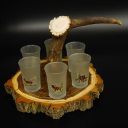 Liqueur supplier on acacia wood liqueur board H18 cm red deer rod handle with 6 colorful tall glasses, ice white hunting motif 27.7.3.12