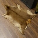 Rothirsch Fell Länge 164 cm Hirsch Hirschfell Vorleger Deko 87.3.36