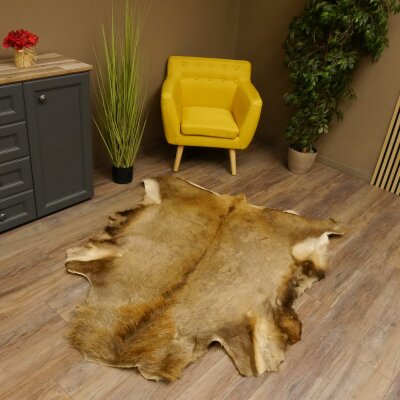 Red deer hide length 157 cm Deer Deer hide rug Decoration 87.3.37