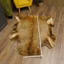 Red deer hide length 157 cm Deer Deer hide rug Decoration 87.3.37
