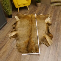 Red deer hide length 157 cm Deer Deer hide rug Decoration 87.3.37