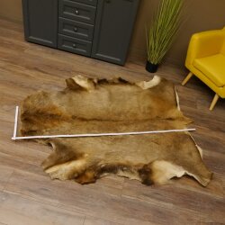 Red deer hide length 157 cm Deer Deer hide rug Decoration 87.3.37