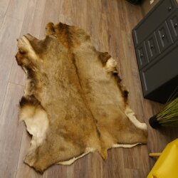 Red deer hide length 157 cm Deer Deer hide rug Decoration 87.3.37