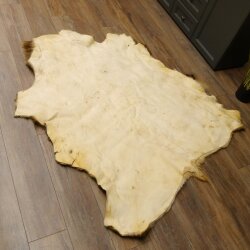 Red deer hide length 157 cm Deer Deer hide rug Decoration 87.3.37