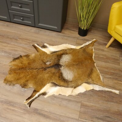 Mouflon fur rug, length 123 cm, male, B grade 87.17.9