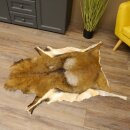 Mouflon fur rug, length 123 cm, male, B grade 87.17.9