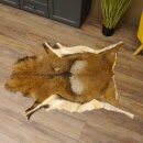 Mouflon fur rug, length 123 cm, male, B grade 87.17.9