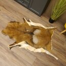 Mouflon fur rug, length 123 cm, male, B grade 87.17.9