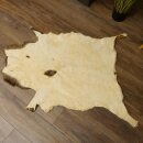 Mouflon fur rug, length 123 cm, male, B grade 87.17.9