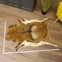 Mouflon fur rug, length 123 cm, male, B grade 87.17.9