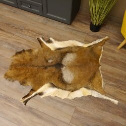 Mouflon fur rug, length 123 cm, male, B grade 87.17.9