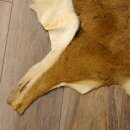 Mufflon Fell Vorleger Länge 90 cm weiblich B Ware 87.17.11