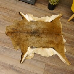 Mufflon Fell Vorleger Länge 90 cm weiblich B Ware 87.17.11