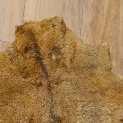 Mufflon Fell Vorleger Länge 90 cm weiblich B Ware 87.17.11