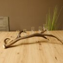 Schnapsanbieter 6 kleine Gläser Steckglas mit Stiel auf Rothirschstange Geschenk 27.60.2.43