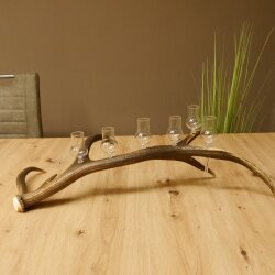 Schnapsanbieter 6 kleine Gläser Steckglas mit Stiel auf Rothirschstange Geschenk 27.60.2.43