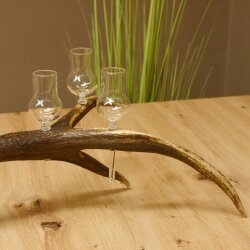 Schnapsanbieter 6 kleine Gläser Steckglas mit Stiel auf Rothirschstange Geschenk 27.60.2.43
