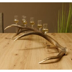 Schnapsanbieter 6 kleine Gläser Steckglas mit Stiel auf Rothirschstange Geschenk 27.60.2.43