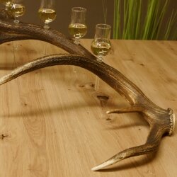 Schnapsanbieter 6 kleine Gläser Steckglas mit Stiel auf Rothirschstange Geschenk 27.60.2.43