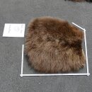 GRIZZLY Bär Bärenfellrest Fell Bär mit Genehmigung zum Verkauf Fellpaket 1