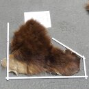 GRIZZLY Bär Bärenfellrest Fell Bär mit...