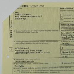 GRIZZLY Beer Berenhuidresten Berenhuid met vergunning voor verkoop Huidenpakket 2