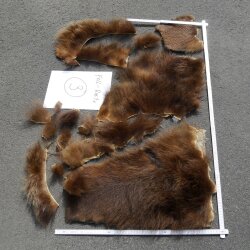 GRIZZLY Ours Restes de peau dours Peau dours avec autorisation de vente Paquet de peaux 3