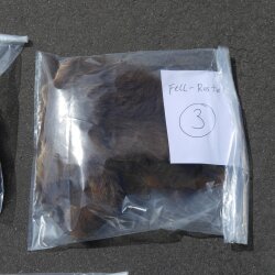 GRIZZLY Ours Restes de peau dours Peau dours avec autorisation de vente Paquet de peaux 3