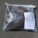 GRIZZLY Bär Bärenfellrest Fell Bär mit Genehmigung zum Verkauf Fellpaket 4