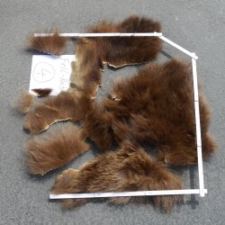 GRIZZLY Bär Bärenfellrest Fell Bär mit Genehmigung zum Verkauf Fellpaket 4