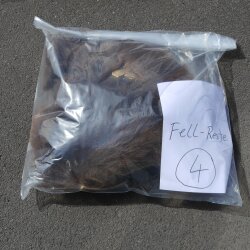 GRIZZLY Bär Bärenfellrest Fell Bär mit Genehmigung zum Verkauf Fellpaket 4
