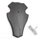 1 pieza placa trofeo ciervo macho placa 1x KF oscuro 1 pieza abrazadera para cuernos