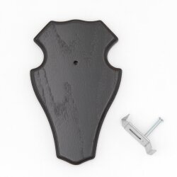 1 pieza placa trofeo ciervo macho placa 1x KF oscuro 1 pieza abrazadera para cuernos