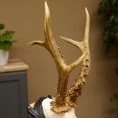 Rehgeweih HL 26,7 cm Rehbock Gewicht 405 g Bock Reh Geweih Gehörn geschnitztem Trophäenschild