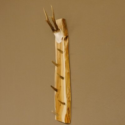 Key rack antler bar handmade key unique 6 hooks deer antler 27.8.117