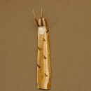 Key rack antler bar handmade key unique 6 hooks deer antler 27.8.117