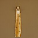 Key rack antler bar handmade key unique 6 hooks deer antler 27.8.117