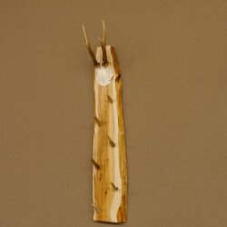 Key rack antler bar handmade key unique 6 hooks deer antler 27.8.117